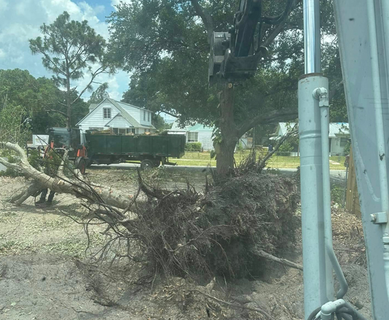 Fully-Equipped-for-Safe-Tree-Work